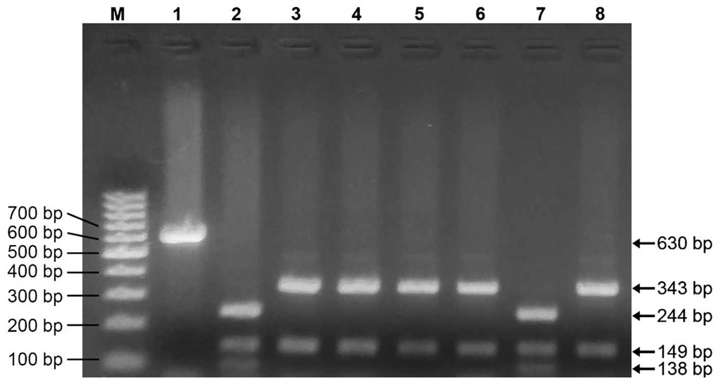 antimicrobial_resistance_preview.jpg