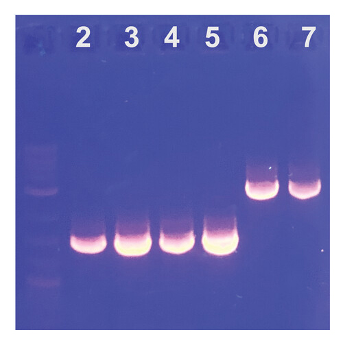 genetic_manipulation_preview.jpg